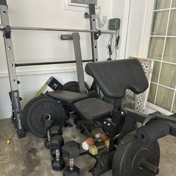 Olympic Weight Bench - Full Body Workout 