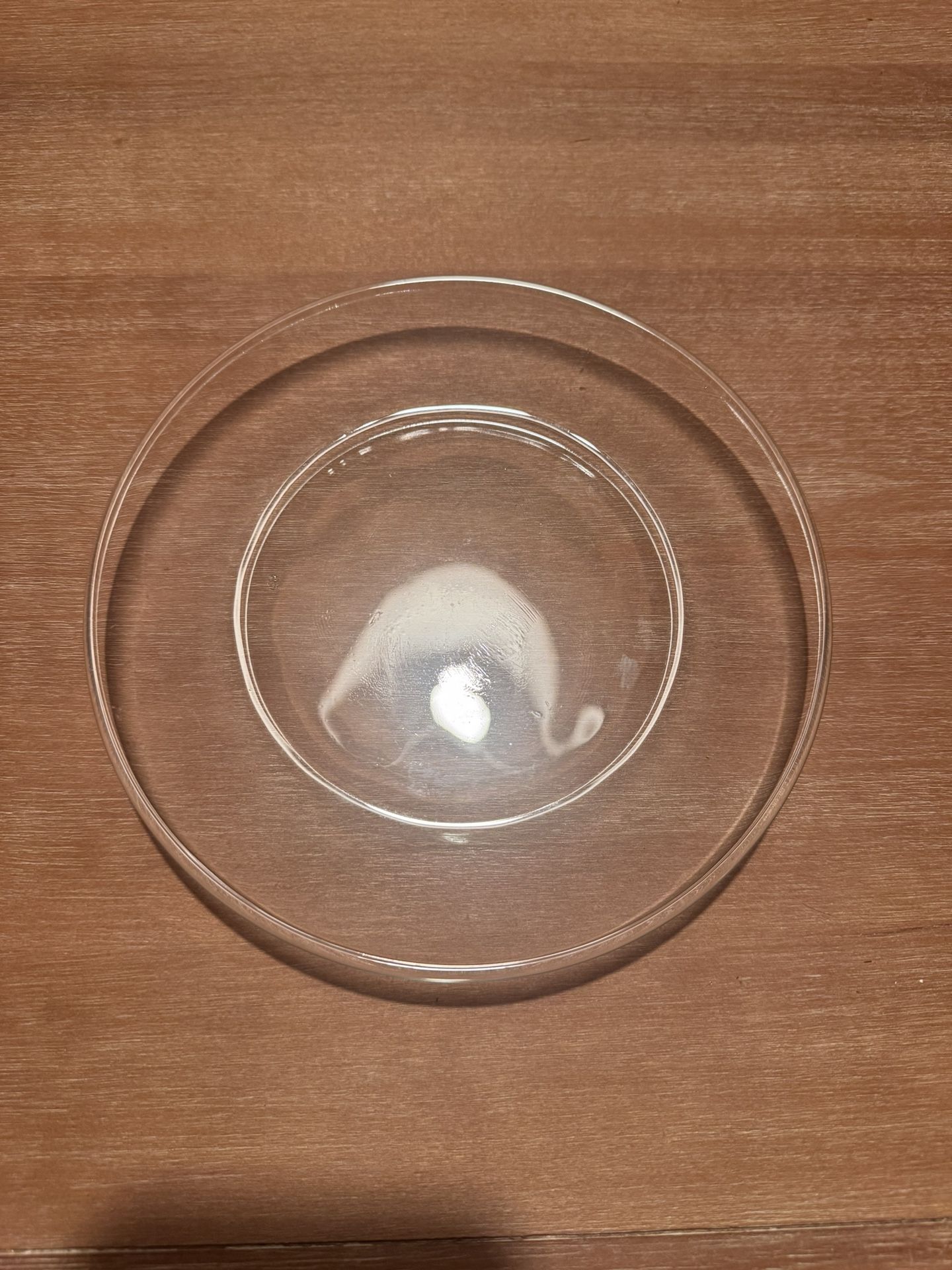 118 Salad or Dessert Plate Clear Glass For Wedding, Event, Dinner Party, Decor