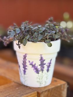 Succulent