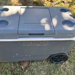 Igloo cooler
