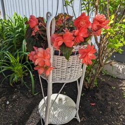 Vintage Wicker Plant Stand