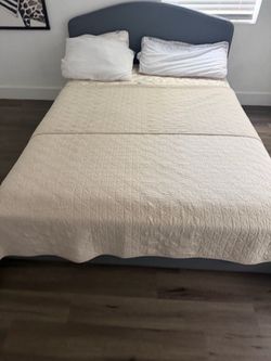 Queen Mattress and Box Spring/Head BoardStear and Foster