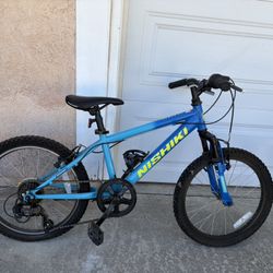 Boy’s Mountain Bike-Nishiki Pueblo 20”