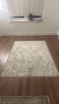 Rug great condition