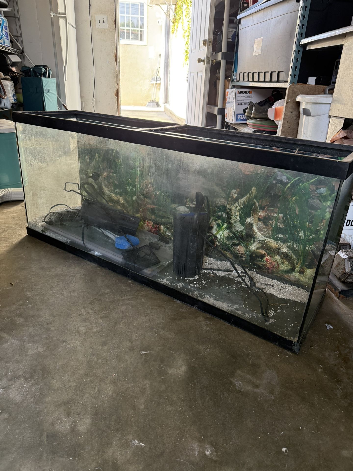 Large Fish Tank