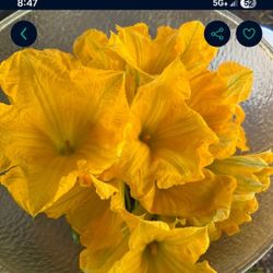 Flores De Calabaza.     10 Flores Por   1$