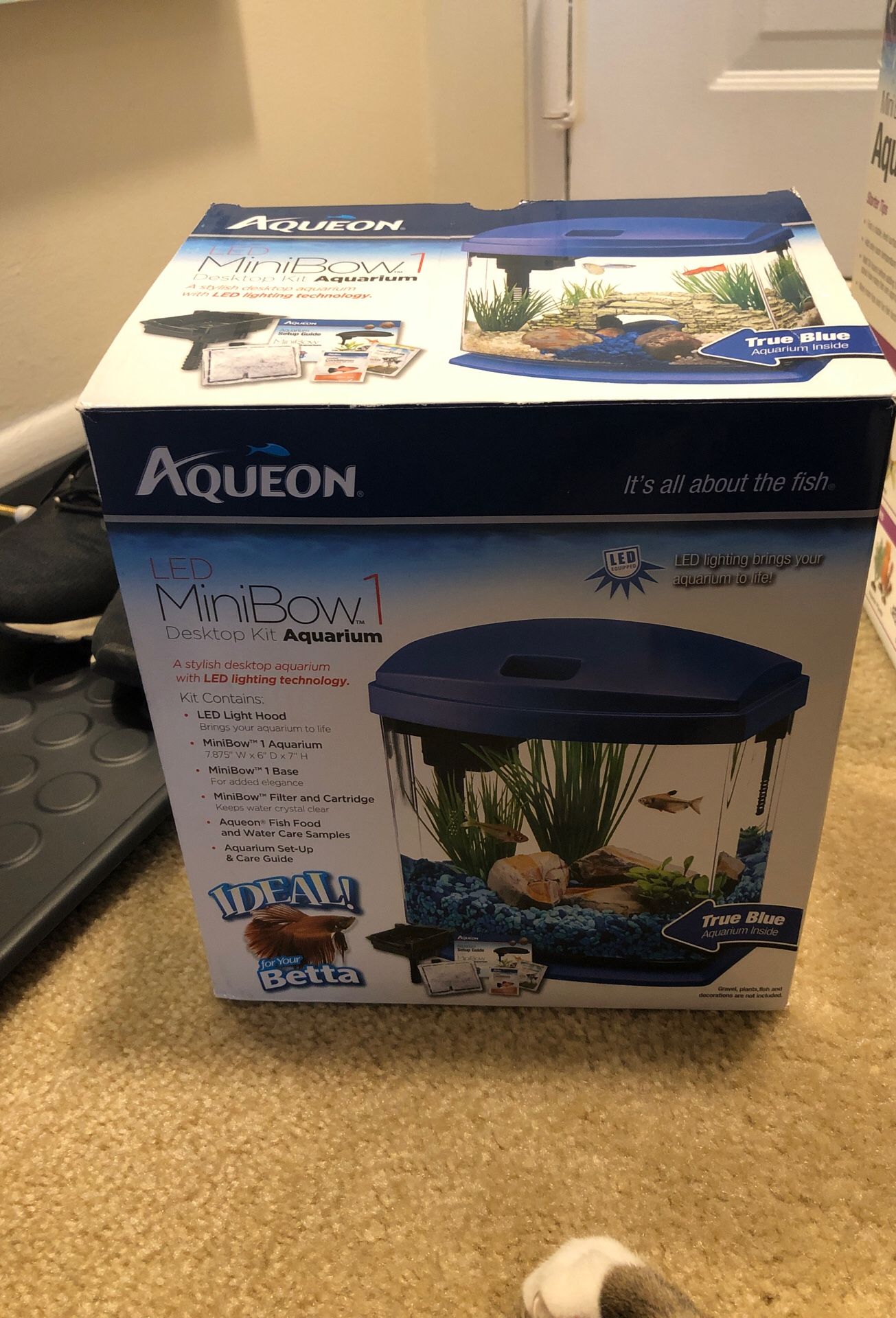 Aqueon Mini Bow Aquarium