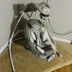 Infant Swing