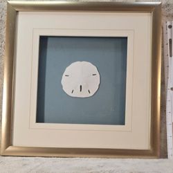 Sand Dollar Wall Decor