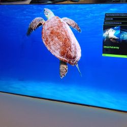 SAMSUNG 98"INCH QLED 4K Q80C