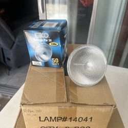 Light Bulb