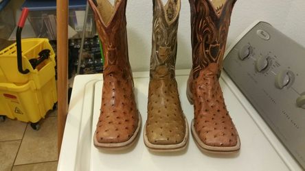 Bota exotica y cintos piteados y de plata