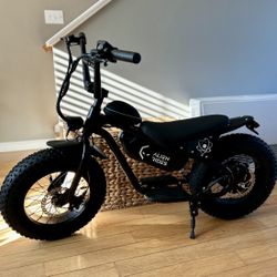 Alien Rides Electric Bike - Used Only 9 Miles