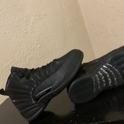 Air Jordan Retro 12 Waterproof Winter Proof