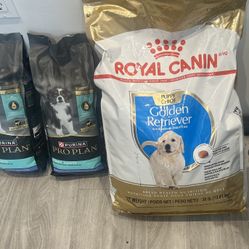PURINA  & ROYAL CANIN 🐶🐶🐶