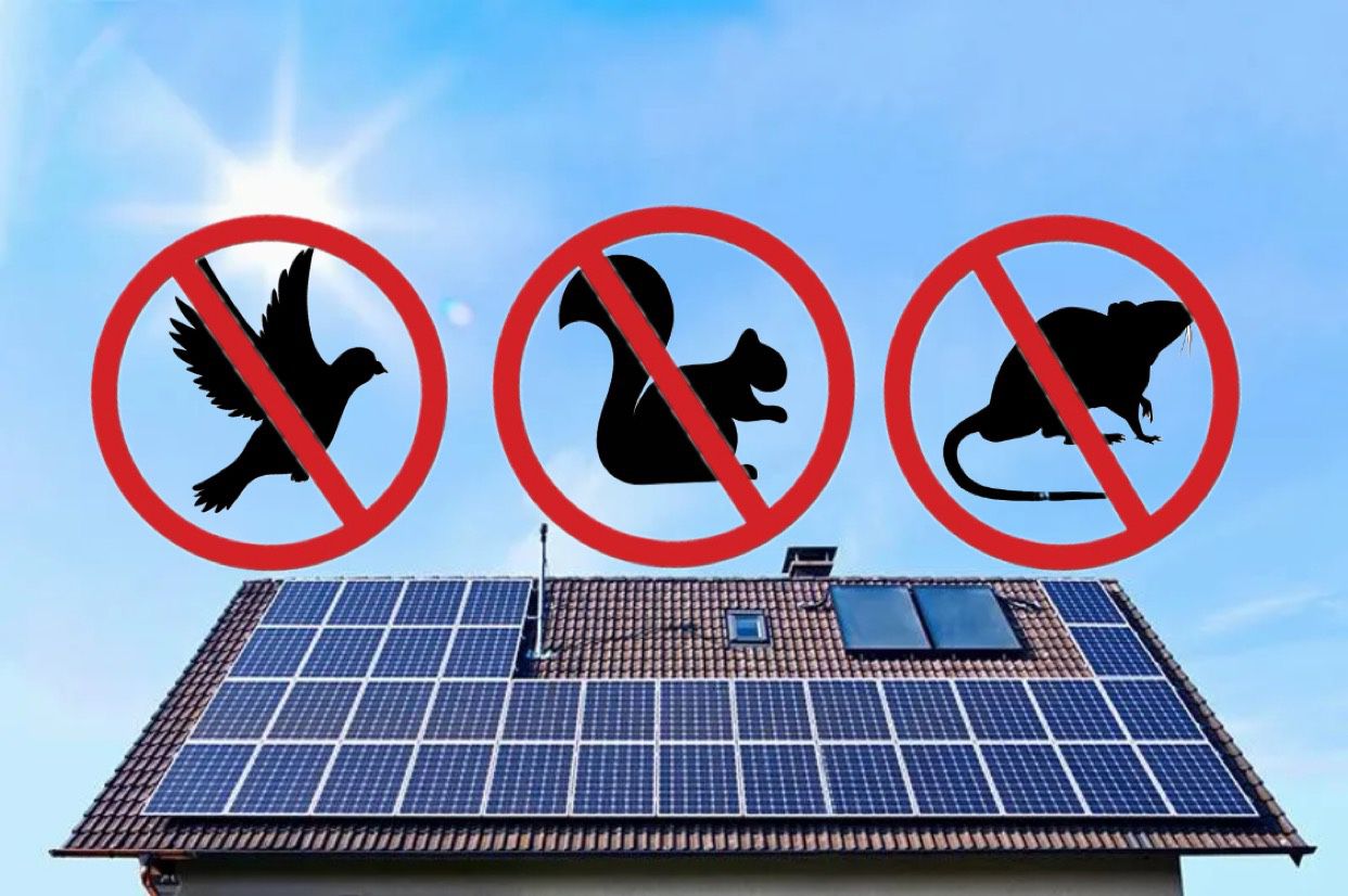 Special Offer On Solar Panel Critter Guards!