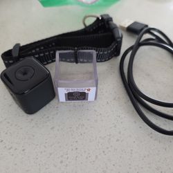 Cat/dog collar camera