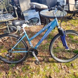 The price is.. Schwinn universal traverse bicycle