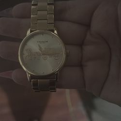 Gold Coach Watch