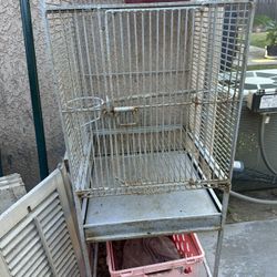 Bird Cage
