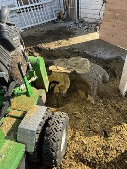 Stump Grinder – Property Cleanup