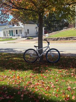 Se bike 29inch