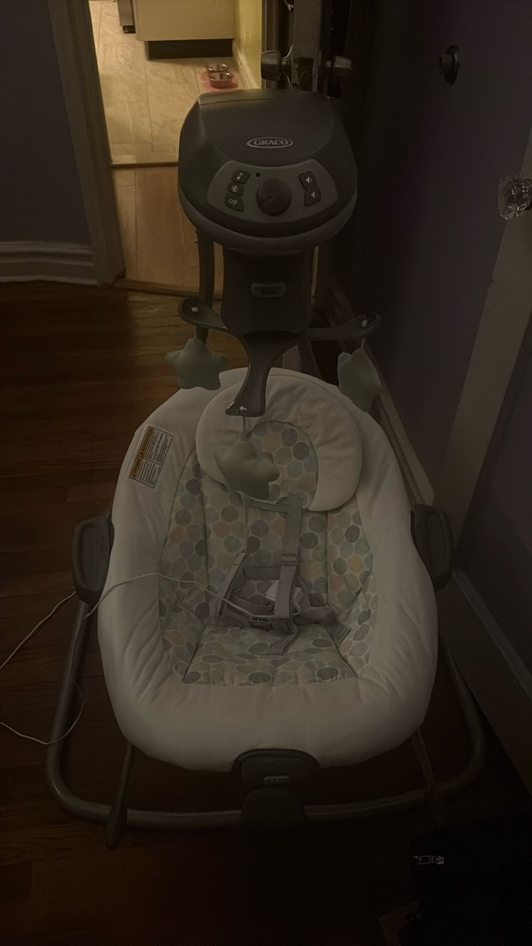 Graco Simple Sway Swing 2 In 1