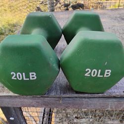 Dumbbells 20 Pounds 