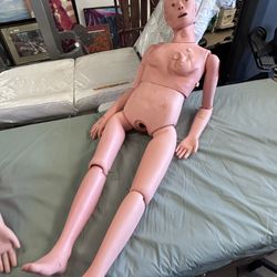 5 Ft Life-Size Female Nursing Manikin Model - VEVOR Multifunctional Clinical Training Simulator