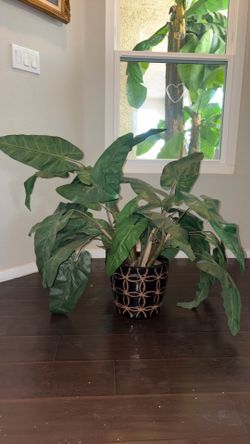 Artificial Plant!!🌱