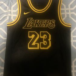 LeBron James Jersey