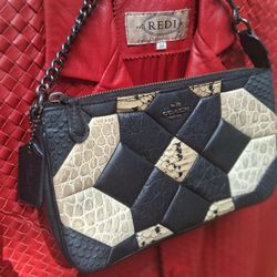 Red Leather Jacket W, Coach Purse