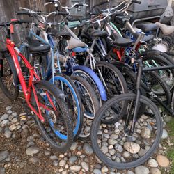 Multiple Bikes For Sale