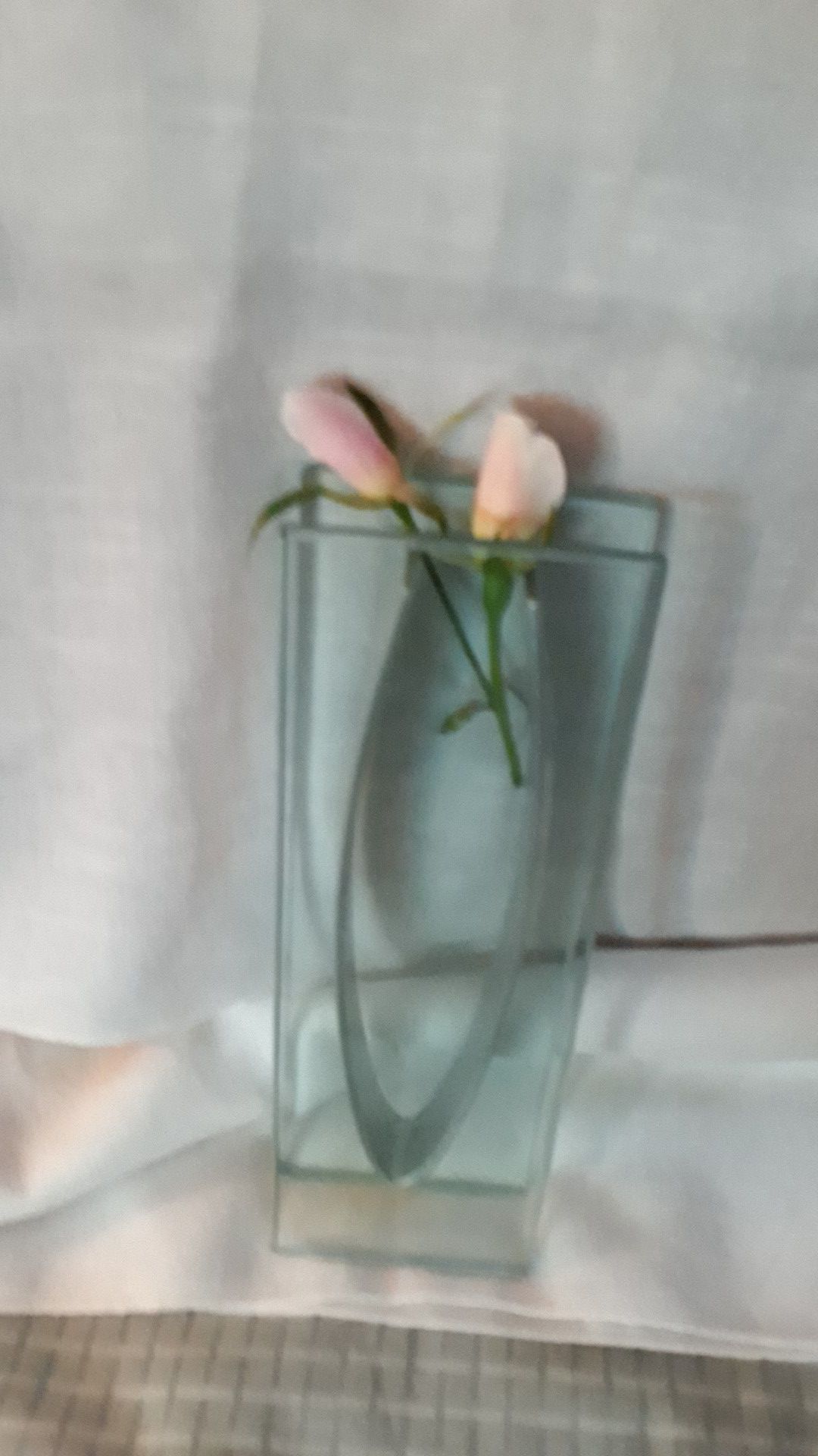 Glass/metal unique vase