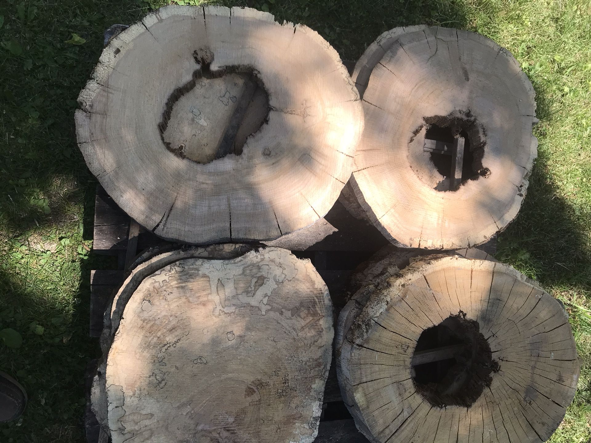 Oak Epoxy Rounds