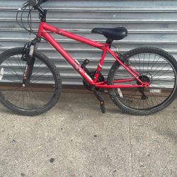 Speed Bike