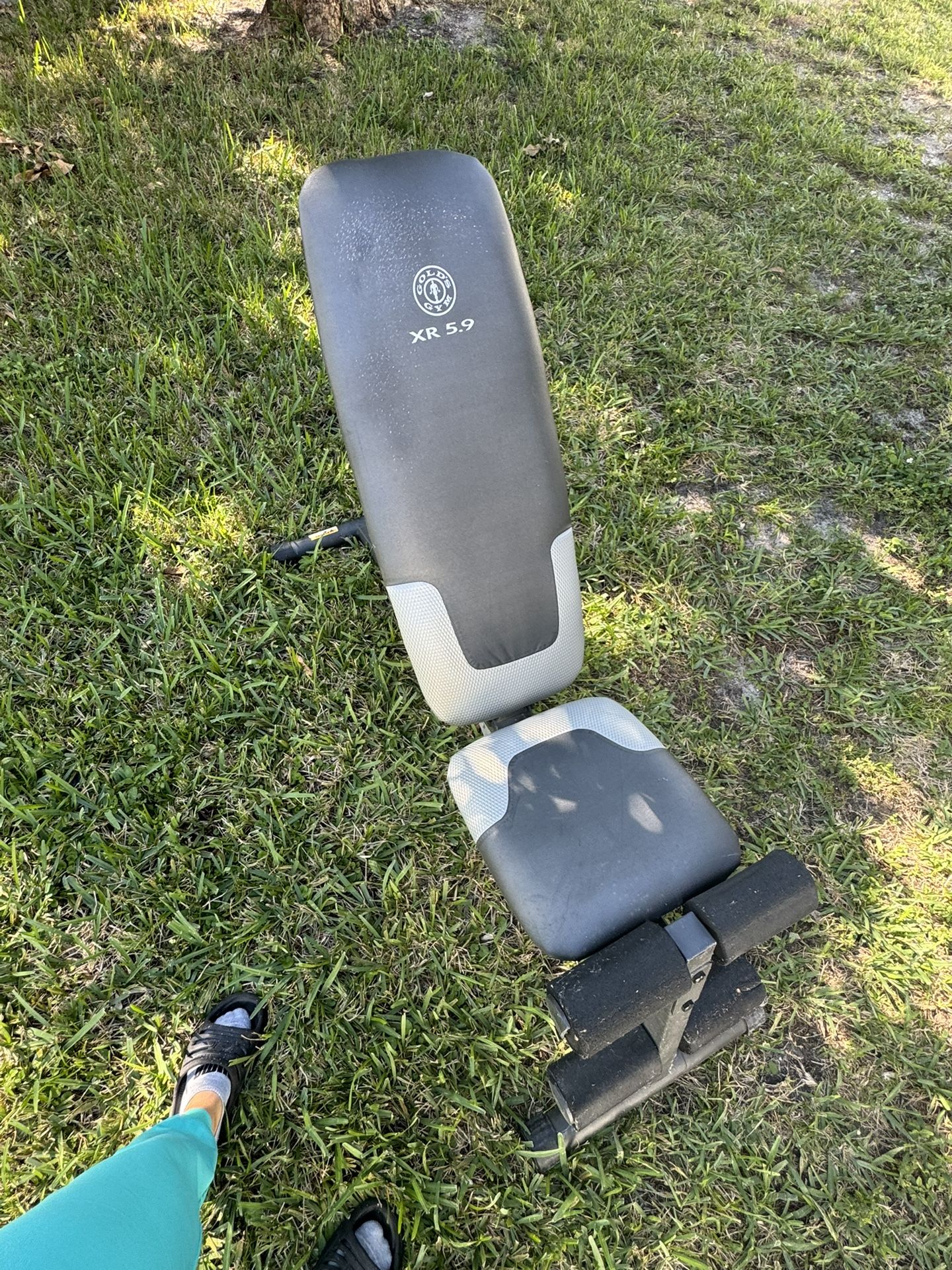 Weight Bench For Sale