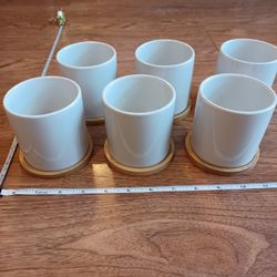 6 White Ceramic Planter Pots With Wooden Catch Basins