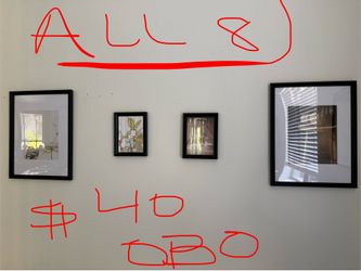 Wall Art/ Decor