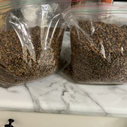 Cat Food 6 Months And Up Hills Science Great Food Cats Have Moved Up A Step