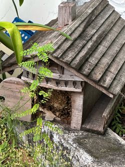 Free Bees in a box!