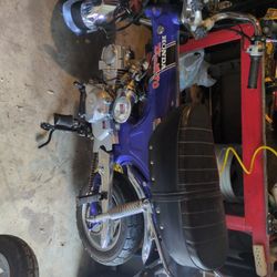 125cc Icebear Champion