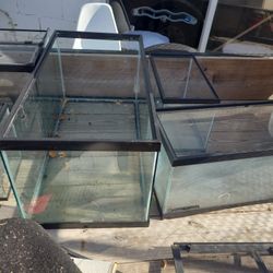 Fish Tanks 