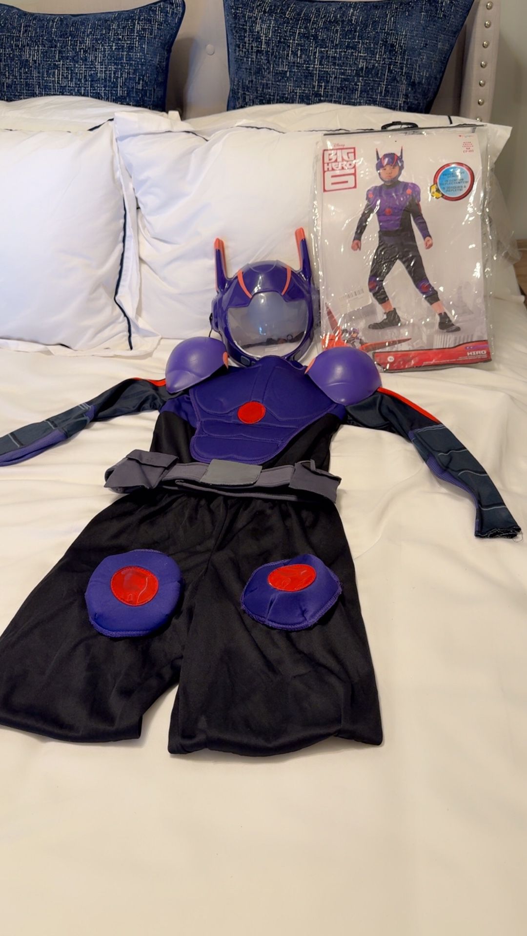 Halloween Costume Big Hero 6