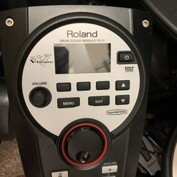 Electric Roland TD-11  Drum Set