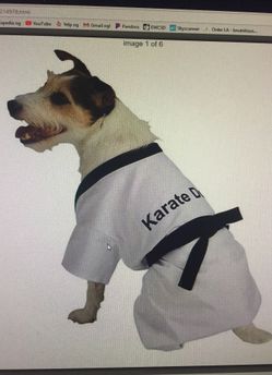 Karate ninja dog Halloween costumes size small and medium