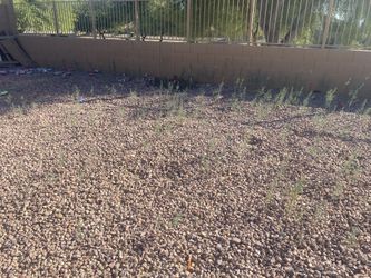Solicito Jardinero Para Limpieza