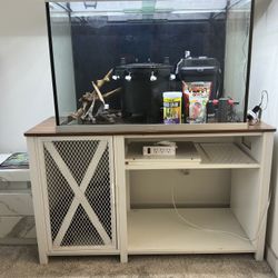 Fish Tank 