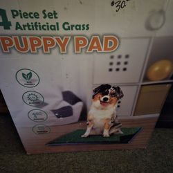 Washable Puppy Tray/pad