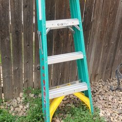 4ft Ladder